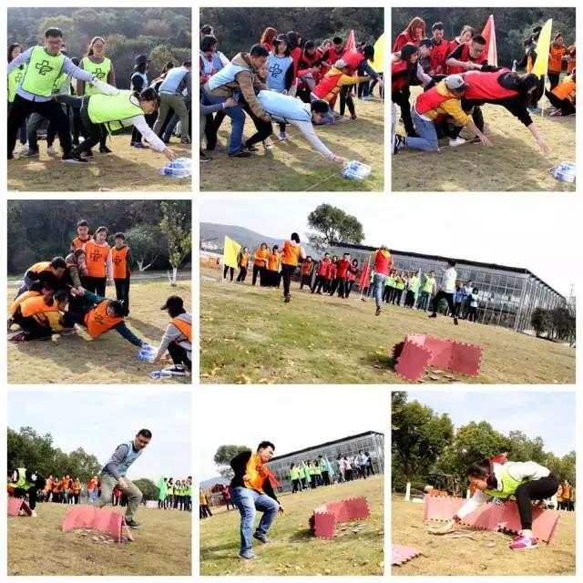 15121993949850691.jpg 15121993949850691.jpg