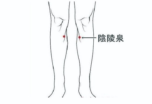 阴陵泉.jpg 阴陵泉.jpg