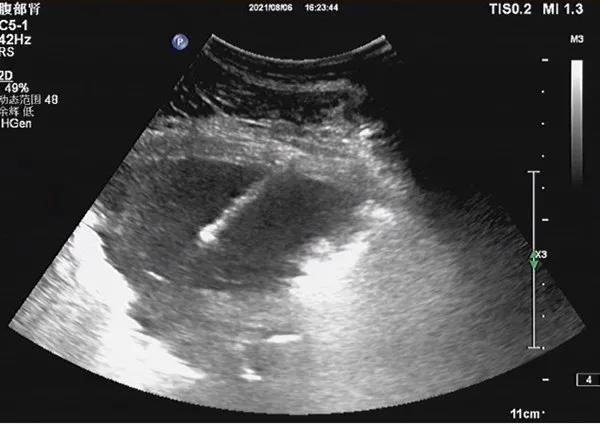 微信图片_20210827154251.jpg 微信图片_20210827154251.jpg