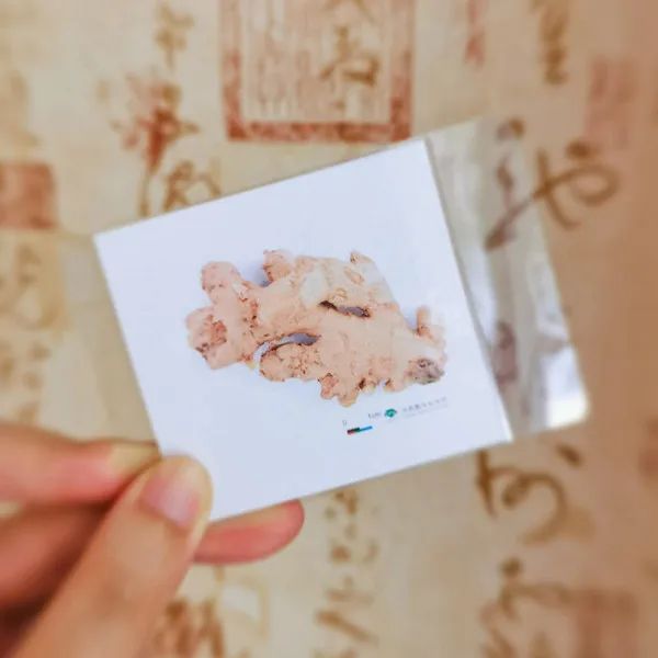 微信图片_20220921090219.jpg 微信图片_20220921090219.jpg