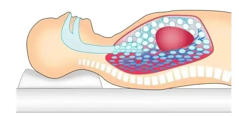 微信图片_20230110163130.jpg 微信图片_20230110163130.jpg