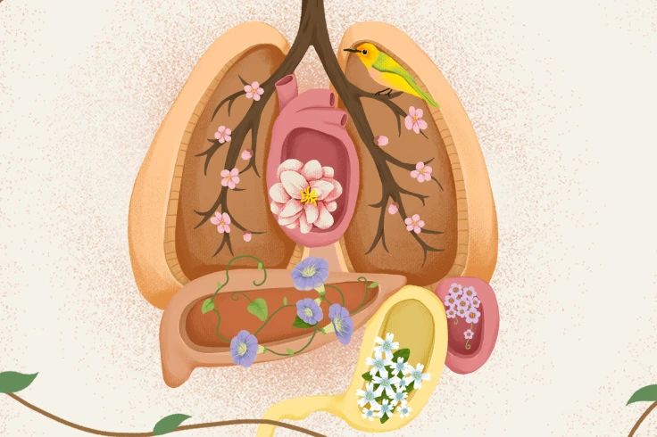 微信图片_20250310143817.jpg 微信图片_20250310143817.jpg